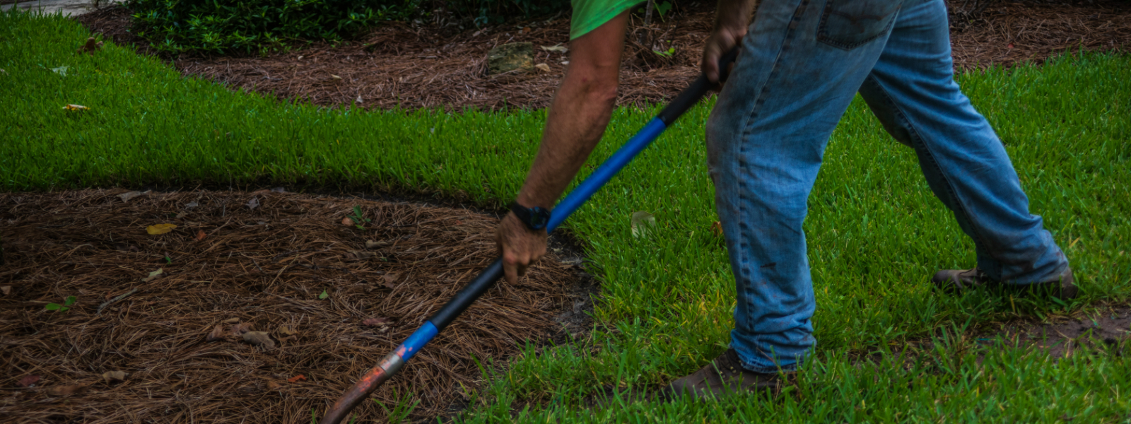 Landscape Company Normal IL